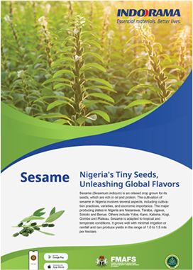 Best Farming Practice Sesame crop