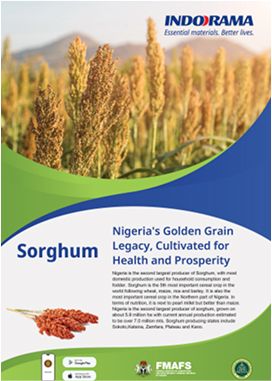 Best Farming Practice Sorghum crop