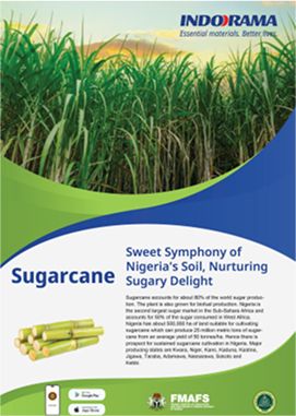 Best Farming Practice Sugarcane crop