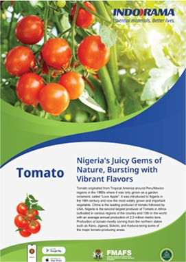 Best Farming Practice Tomato crop