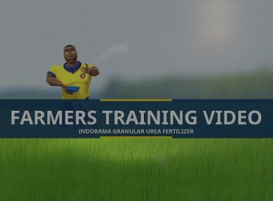 Granular Urea Fertilizer