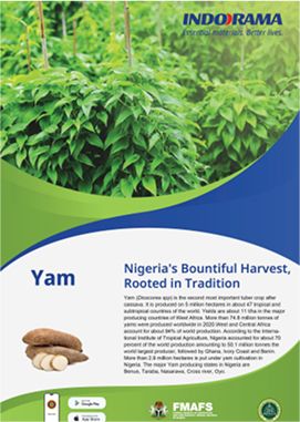 Best Farming Practice Yam crop